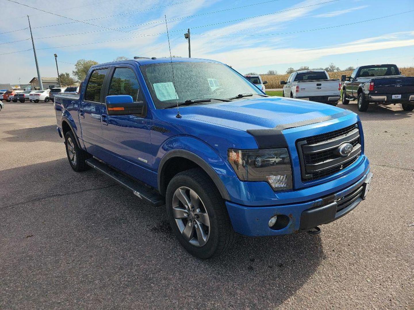 2013 BLUE FORD F150 SUPERCREW (1FTFW1ET3DF) with an 3.5L engine, Automatic transmission, located at 495 Old Highway 20 West, South Sioux City, NE, 68776, (402) 494-2677, 42.458408, -96.443512 - Photo#5