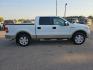 2007 WHITE FORD F150 SUPERCREW (1FTPW14V87K) with an 5.4L engine, Automatic transmission, located at 495 Old Highway 20 West, South Sioux City, NE, 68776, (402) 494-2677, 42.458408, -96.443512 - Photo#4